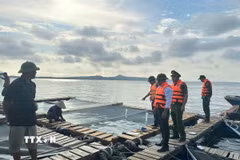 Các địa phương ven biển của tỉnh Quảng Ninh đang vận động các tàu thuyền, ngư dân nuôi trồng thủy sản trên biển vào nơi tránh trú bão. (Ảnh: TTXVN phát)