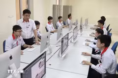 Ảnh minh họa. (Ảnh: Diệu Thúy/TTXVN)