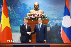 Thủ tướng Lê Minh Hưng hội kiến Chủ tịch Quốc hội Lào Sonexay Siphandone. (Ảnh: Dương Giang/TTXVN)