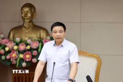 Phó Thủ tướng Nguyễn Văn Thắng phát biểu tại phiên họp. (Ảnh: Xuân Tùng/TTXVN)