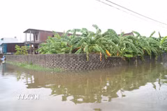 Nước ngập sâu, cụm dân cư tạm thời bị cô lập. (Ảnh: Xuân Tiến/TTXVN)
