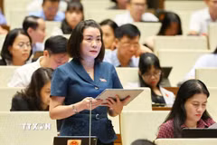 Đại biểu Quốc hội tỉnh Quảng Trị Nguyễn Minh Tâm phát biểu. (Ảnh: Doãn Tấn/TTXVN)