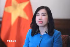 Thứ trưởng Bộ Ngoại giao Lê Thị Thu Hằng. (Ảnh: An Đăng/TTXVN)