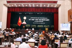 Quang cảnh Kỳ họp thứ 21 Hội đồng Nhân dân Thành phố Hồ Chí Minh khóa X, ngày 20/2. (Ảnh: Xuân Khu/TTXVN)