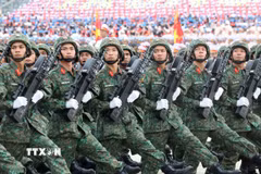 Khối chiến sỹ Tác chiến điện tử. (Ảnh: Lâm Khánh/TTXVN)