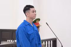 Bị cáo Phan Trọng Hiếu tại phiên tòa xét xử về hành vi buôn bán hàng giả là thực phẩm trên sàn thương mại điện tử. (Ảnh: TTXVN phát)
