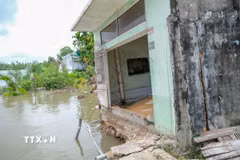 Một căn nhà nằm chênh vênh sát bờ sông do sạt lở ở xã Thới An Hội, thành phố Cần Thơ. (Ảnh: Thanh Liêm/TTXVN)
