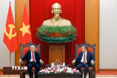Tổng Bí thư, Chủ tịch nước Tô Lâm tiếp Thượng nghị sỹ Alberto Anaya Gutierrez, Tổng Bí thư Đảng Lao động Mexico. (Ảnh: Thống Nhất/TTXVN)