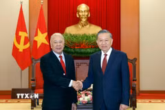 Tổng Bí thư, Chủ tịch nước Tô Lâm tiếp Thượng nghị sỹ Alberto Anaya Gutierrez, Tổng Bí thư Đảng Lao động Mexico. (Ảnh: Thống Nhất/TTXVN)