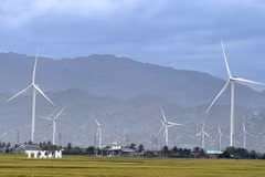 Dự án điện gió được Trungnam Group đầu tư tại xã Thuận Bắc. (Ảnh: Công Thử/TTXVN)