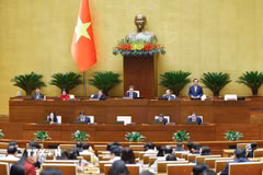 Phó Chủ tịch Quốc hội Lê Minh Hoan phát biểu. (Ảnh: Doãn Tấn/TTXVN)