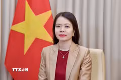 Thứ trưởng Bộ Ngoại giao Nguyễn Minh Hằng. (Ảnh: TTXVN phát)