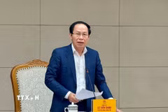 Phó Thủ tướng Lê Tiến Châu phát biểu chỉ đạo tại cuộc họp. (Ảnh: TTXVN phát)
