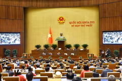 Quang cảnh phiên họp. (Ảnh: Doãn Tấn/TTXVN)