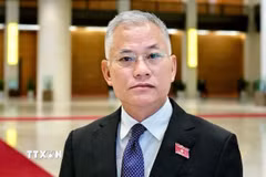Ông Đôn Tuấn Phong được bổ nhiệm giữ chức Phó Chủ nhiệm Văn phòng Chính phủ. (Ảnh: TTXVN phát)