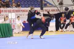 Đội tuyển Pencak Silat Việt Nam đã giành đến 16 huy chương Vàng tại giải châu Á 2026. (Ảnh: Lê Xuân/TTXVN)