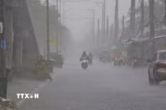 (Ảnh minh họa: Duy Khương/TTXVN)