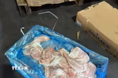 Thực phẩm không rõ nguồn gốc bị Công an phát hiện. (Ảnh: TTXVN phát)