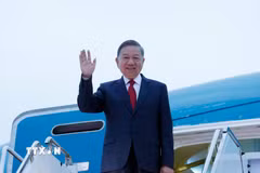 Tổng Bí thư, Chủ tịch nước Tô Lâm đến New York, bắt đầu chuyến tham dự Phiên thảo luận cấp cao Đại hội đồng Liên hợp quốc Khóa 81 và hoạt động song phương tại Hoa Kỳ. (Ảnh: Thống Nhất/TTXVN)