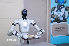 Robot hình người phục vụ tại một nhà hàng ở thành phố Thâm Quyến, tỉnh Quảng Đông, Trung Quốc. (Ảnh: THX/TTXVN phát)