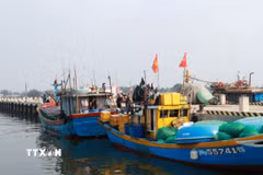 Ảnh minh họa. (Ảnh: Tường Vi/TTXVN)