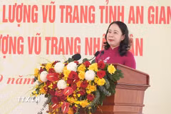 Phó Chủ tịch nước Võ Thị Ánh Xuân phát biểu tại buổi lễ. (Ảnh: Lê Huy Hải/TTXVN)