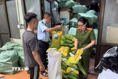 Lực lượng chức năng kiểm tra số gạo vi phạm. (Ảnh: TTXVN phát)