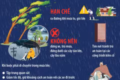 Phòng tránh tai nạn cây xanh gãy, đổ khi mưa lớn