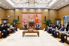 Chủ tịch Quốc hội Trần Thanh Mẫn tiếp Đoàn Hội Hữu nghị Hàn Quốc-Việt Nam do ông Lee Shin Jae, Chủ tịch Công ty Dệt may Hansoll, Chủ tịch Hội Hữu nghị Hàn Quốc-Việt Nam làm trưởng đoàn. (Ảnh: Doãn Tấn/TTXVN)