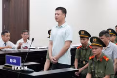 Bị cáo Đinh Tiến Hùng khai báo tại phiên tòa. (Ảnh: Kim Anh/TTXVN)
