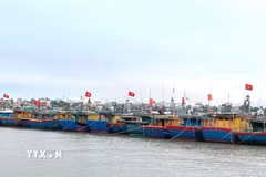 Quảng Trị còn hàng chục tàu cá chưa đủ điều kiện hoạt động, cùng những nguy cơ vi phạm trong quá trình khai thác trên biển. (Ảnh minh họa: Võ Dung/TTXVN)