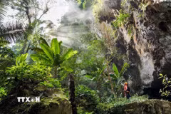 Cánh rừng rậm rạp ngay trước cửa vào Hang Sơn Đoòng. (Ảnh: TTXVN phát)