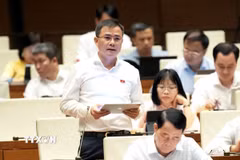 Đại biểu Quốc hội Thành phố Hồ Chí Minh Tào Đức Thắng. (Ảnh: Doãn Tấn/TTXVN)