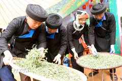 Các nghệ nhân với sự khéo léo, kinh nghiệm sao chè thủ công, tạo nên nét đặc trưng riêng của vùng chè Cao Bồ. (Ảnh: Đức Thọ/TTXVN)