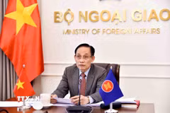 Bộ trưởng Ngoại giao Lê Hoài Trung, (Ảnh: An Đăng/TTXVN)