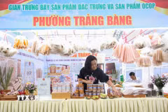 Gian hàng trưng bày sản phẩm đặc trưng phường Trảng Bàng, tỉnh Tây Ninh. (Ảnh: Giang Phương/TTXVN)