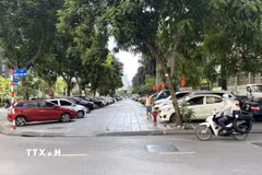 Ảnh minh họa. (Ảnh: Quốc Lũy/TTXVN)