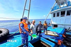 Lực lượng chức năng Bộ Tư lệnh Vùng Cảnh sát biển 4. (Ảnh minh họa: Đức Thái/TTXVN phát)