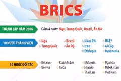 BRICS hiện tại có bao nhiêu nước thành viên và đối tác?