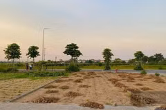 Điều tra nhóm đối tượng nổ súng để giải quyết tranh chấp đất đai ở Krông Nô