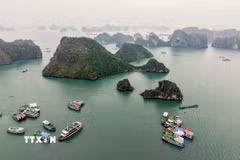 Vịnh Hạ Long. (Nguồn: TTXVN)