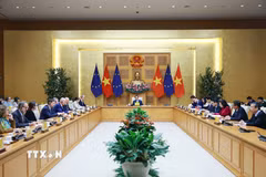 Thủ tướng Phạm Minh Chính tiếp đại diện Phái đoàn Liên minh châu Âu tại Việt Nam và Đại sứ các nước thành viên EU tại Việt Nam. (Ảnh: Dương Giang/TTXVN)