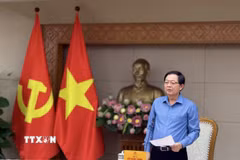 Phó Thủ tướng Chính phủ Hồ Quốc Dũng phát biểu. (Ảnh: Đỗ Bình/TTXVN)