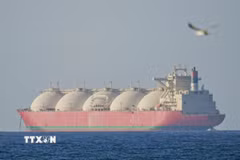 Tàu di chuyển qua eo biển Hormuz. (Ảnh: AA/TTXVN)