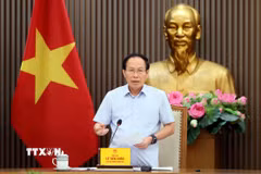 Phó Thủ tướng Lê Tiến Châu phát biểu. (Ảnh: An Đăng/TTXVN)