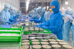 Nhân viên đóng hộp thịt càng ghẹ tại nhà máy Công ty Seaspimex (TP. Hồ Chí Minh) đạt chuẩn Halal. (Ảnh: Khánh Ly/Vietnam+)
