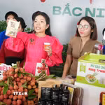 Quảng bá trực tuyến sản phẩm vải thiều và các nông sản chủ lực, đặc trưng OCOP của tỉnh Bắc Ninh. (Ảnh: Đồng Thúy/TTXVN)