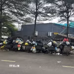 Rác thải ùn ứ tại khu vực đường Phan Chu Trinh, phường Vĩnh Phúc. (Ảnh: Nguyễn Thảo/TTXVN)