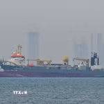 Tàu thương mại thả neo ngoài khơi Dubai, Các tiểu vương quốc Arab thống nhất, do gián đoạn hoạt động vận tải ở eo biển Hormuz. (Ảnh: AA/TTXVN)