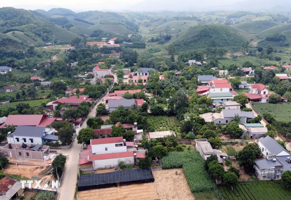 ttxvn-chinh-quyen-dia-phuong-2-cap-o-phu-tho.jpg